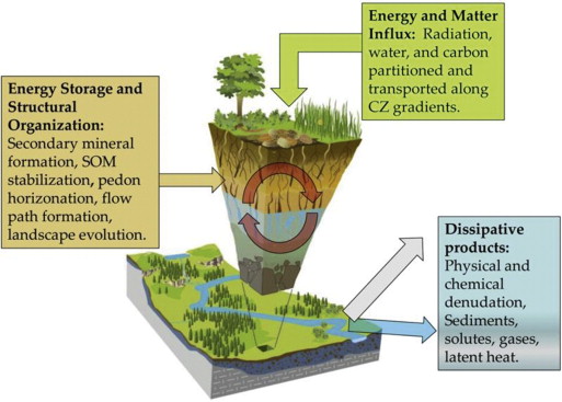 natural system